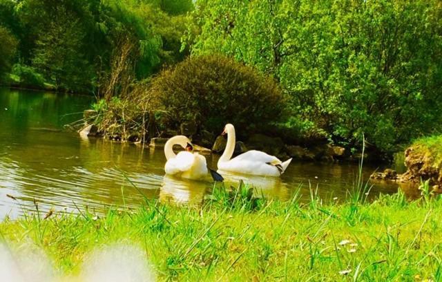 Bed and Breakfast Domaine D'Aveluy Екстер'єр фото